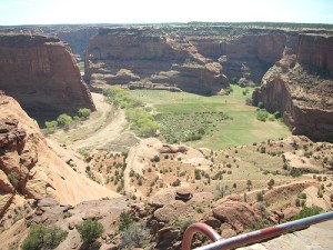 a view into the canyon 