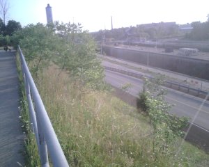 welland canal.jpg welland canal.jpg