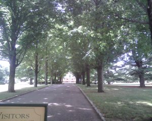 boscobel federal.jpg