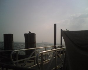 from battery park.jpg from battery park.jpg