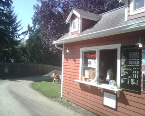 the drive through experience.jpg the drive through experience.jpg