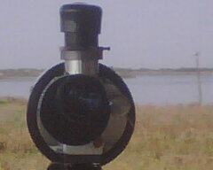 egrets through scope.jpg egrets through scope.jpg