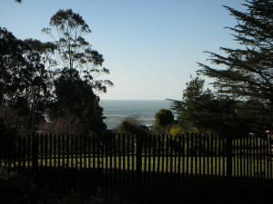 Llama pasture Mendocino