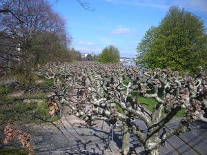 overlooking river walk.JPG