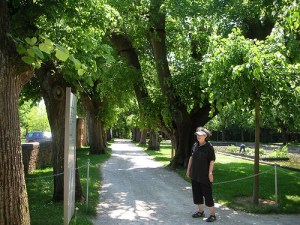 Melk abbey, Boog at Linden alllee.JPG
