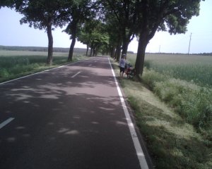 left R1 took road.jpg left R1 took road.jpg