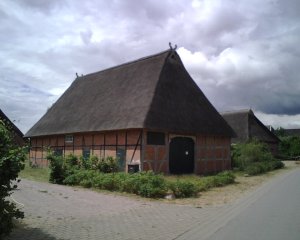 thatch excellent.jpg