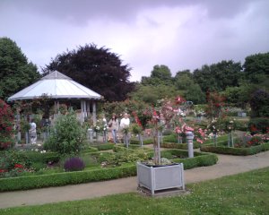 planten und bloomen.jpg