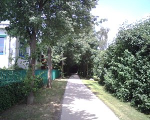 bike path.jpg bike path.jpg