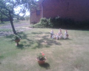 roadside watchers.jpg