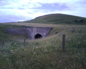 dirt froml tunnel.jpg