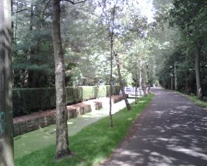 atherton like.jpg atherton like.jpg