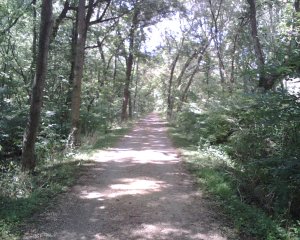 north brunswick.jpg north brunswick.jpg