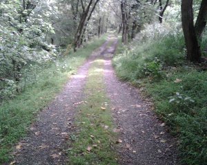 not all dry bumps.jpg