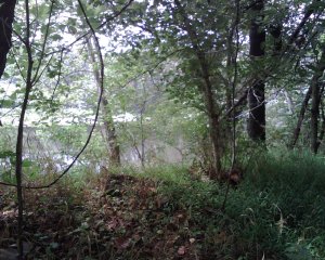 as good as the Danube.jpg