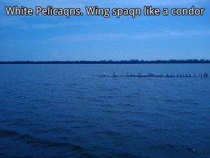 picsay-1235321772.jpg picsay-1235321772.jpg