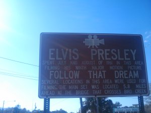 1236286367779.jpg 1236286367779.jpg