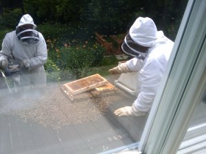 2009-07-08 15.44.26.jpg 2009-07-08 15.44.26.jpg