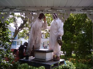 2009-07-08 15.42.10.jpg 2009-07-08 15.42.10.jpg