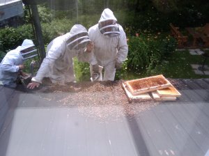 2009-07-08 15.43.26.jpg 2009-07-08 15.43.26.jpg