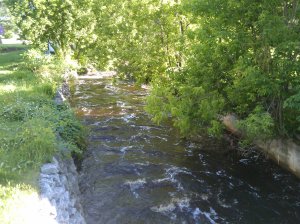 2009-07-08 17.52.50.jpg 2009-07-08 17.52.50.jpg