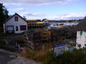 2009-07-14 17.48.27.jpg