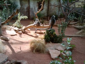 2009-07-01 15.05.35.jpg