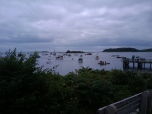 2009-07-22 13.19.20.jpg