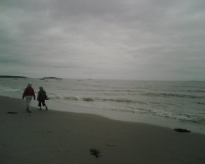 Goose Rocks Beach.jpg