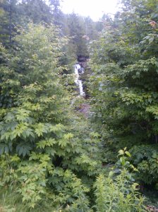 2009-07-13 16.11.35.jpg