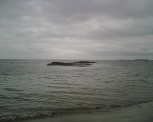 Goose Rocks birds on rocks.jpg