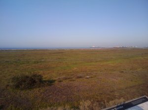 2009-08-30 08.13.06.jpg