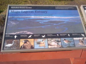 2009-08-30 08.12.56.jpg