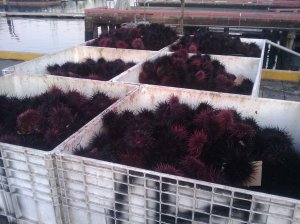 2009-09-08 19.14.16.jpg