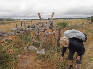 1cb723a923451609ed64268c40b23564.jpeg 1cb723a923451609ed64268c40b23564.jpeg