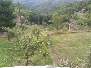 IMG_20100819_120125.jpg IMG_20100819_120125.jpg