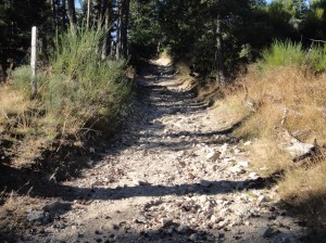 b2d6e3754c1b1861381b6646333f83a4.jpeg b2d6e3754c1b1861381b6646333f83a4.jpeg