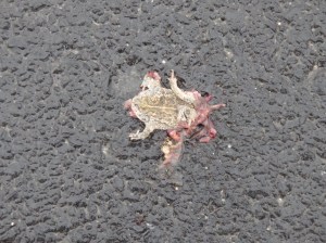 ae82907ed9dbe8c887f256a0c376a0df.jpeg ae82907ed9dbe8c887f256a0c376a0df.jpeg