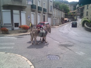 IMG_20100819_114306.jpg IMG_20100819_114306.jpg